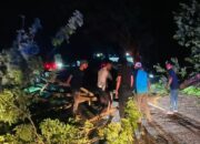 Arus Lalulintas Tersendat, Cepat Tanggap Unit Gakum Satlantas Polres Bima Evakuasi Pohon Tumbang