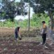 Strategi Polsek Sekotong Wujudkan Kemandirian Pangan di NTB